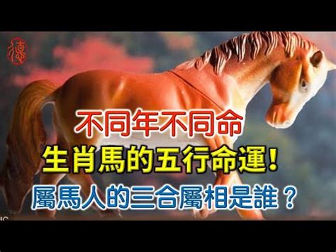 屬馬今年幾歲|屬馬今年幾歲 馬年是民國西元哪幾年